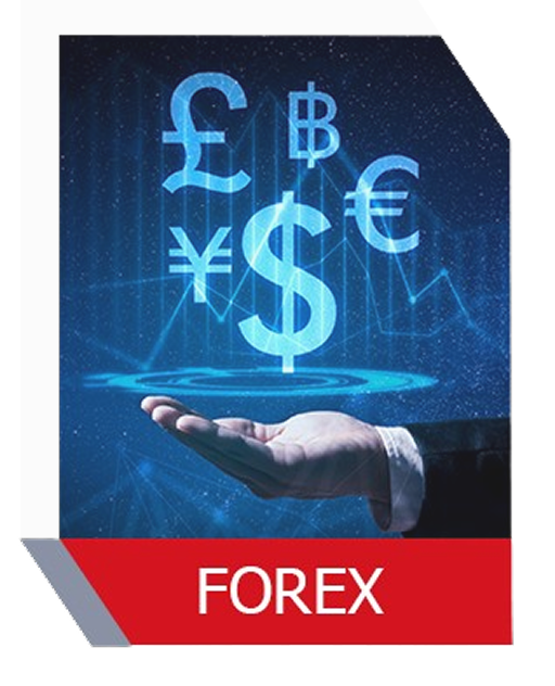 Forex Trading Services